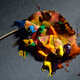 Illustration for article titled 76 Stunning Photos Of Fall Leaves